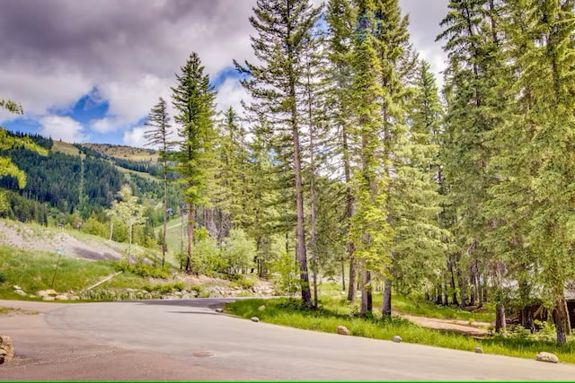 3832 Tamarack Ave Unit 2B, Whitefish, MT 59937 - view of property's community with a mountain view and a forest view