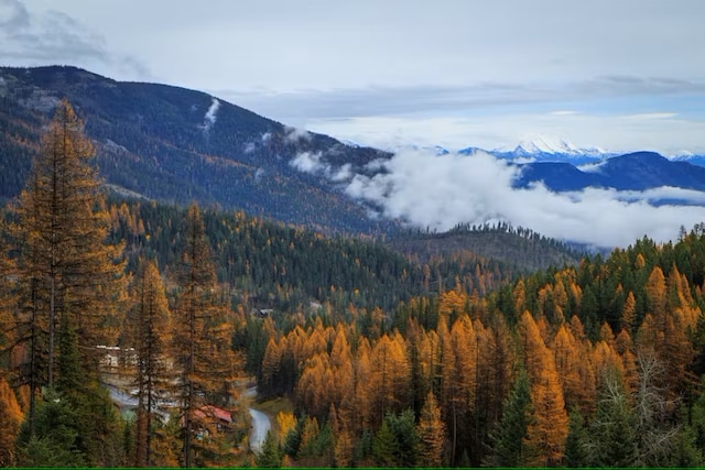 3832 Tamarack Ave Unit 2B, Whitefish, MT 59937 - view of mountain backdrop featuring a heavily wooded area