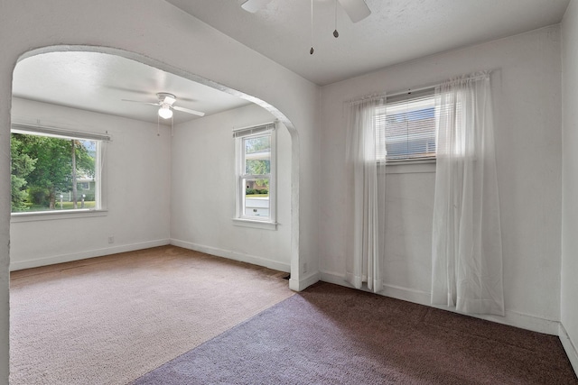 1307 4th St W, Kalispell, MT 59901 - spare room with a ceiling fan, carpet, and healthy amount of natural light