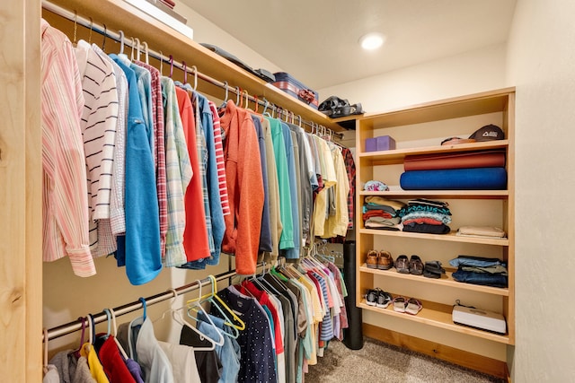 109 Como Vista Ln, Hamilton, MT 59840 - spacious closet featuring carpet