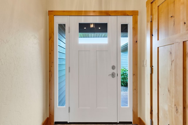 109 Como Vista Ln, Hamilton, MT 59840 - entrance foyer featuring a textured wall and healthy amount of natural light