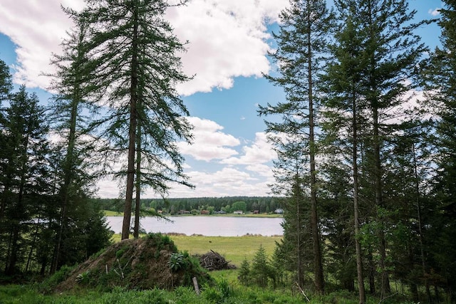 56 Wagon Wheel Rd, Whitefish, MT 59937