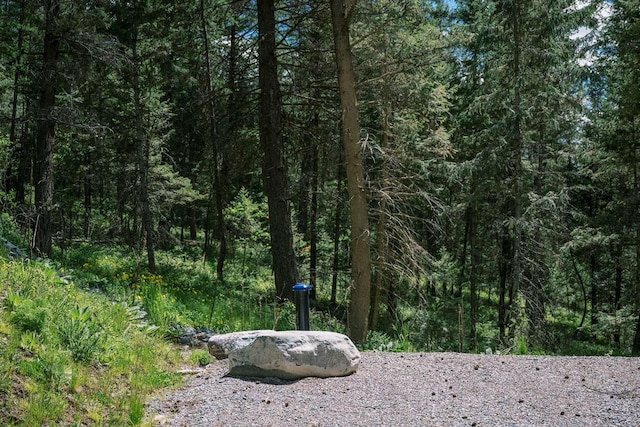 56 Wagon Wheel Rd, Whitefish, MT 59937