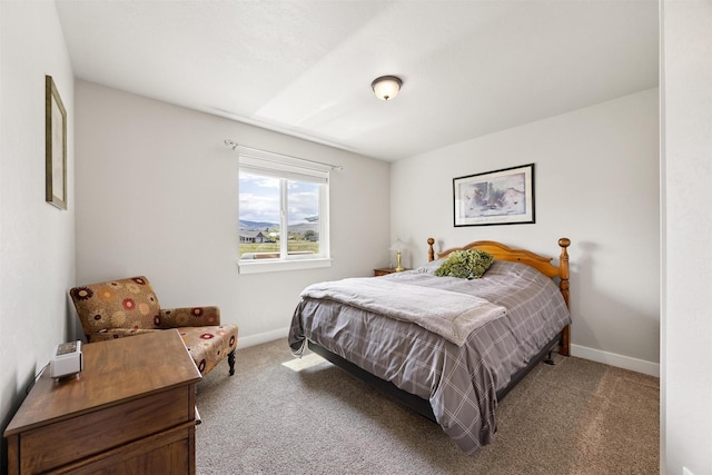 4460 Sunburst Ln, Stevensville, MT 59870 - carpeted bedroom with baseboards