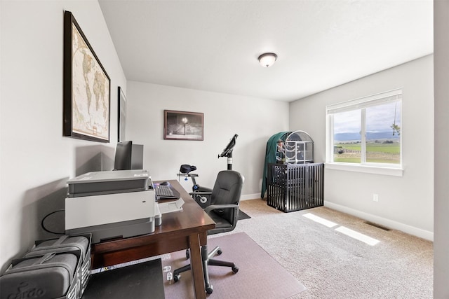 4460 Sunburst Ln, Stevensville, MT 59870 - office area with baseboards and carpet floors