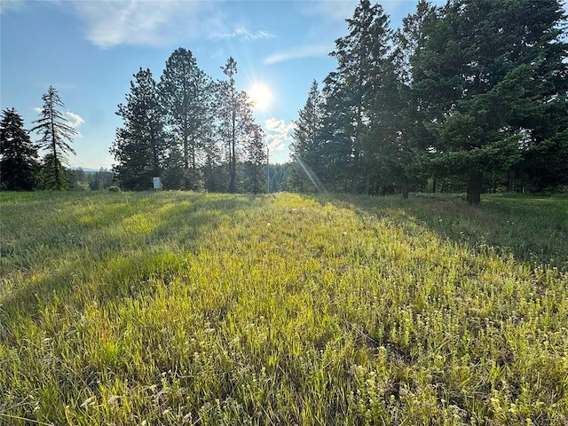 808 Lost Creek Dr, Kalispell, MT 59901