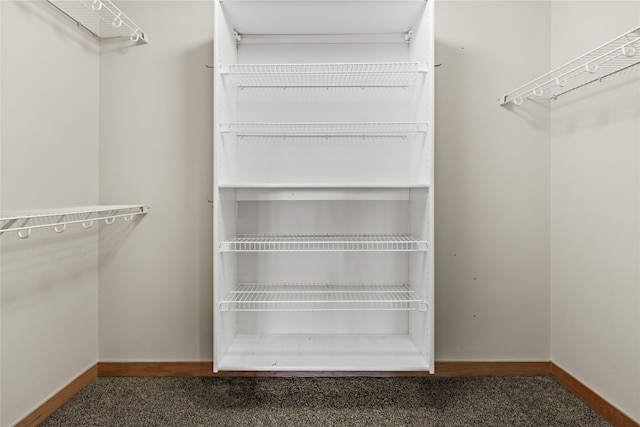103 Crescent Lndg, Polson, MT 59860 - spacious closet with carpet