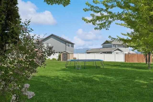 101 Heavens Peak Dr, Kalispell, MT 59901 - view of yard with a storage shed and a trampoline
