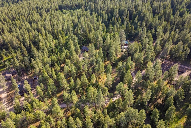 581 Timber Trl, Stevensville, MT 59870 - aerial view of a forest