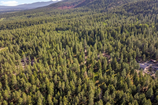 581 Timber Trl, Stevensville, MT 59870 - aerial view of a heavily wooded area