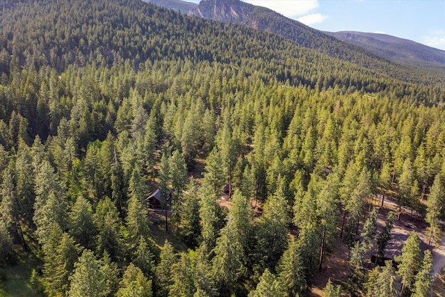 581 Timber Trl, Stevensville, MT 59870 - mountain view featuring a forest