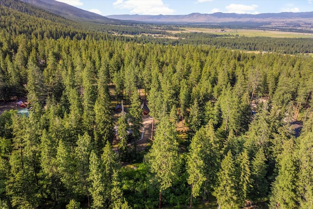 581 Timber Trl, Stevensville, MT 59870 - mountain view featuring a forest