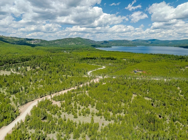 148 Badger Hollow Trl, Marion, MT 59925