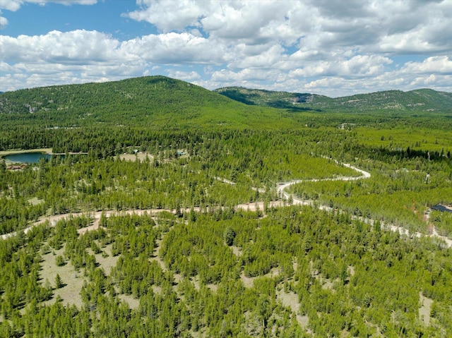 148 Badger Hollow Trl, Marion, MT 59925