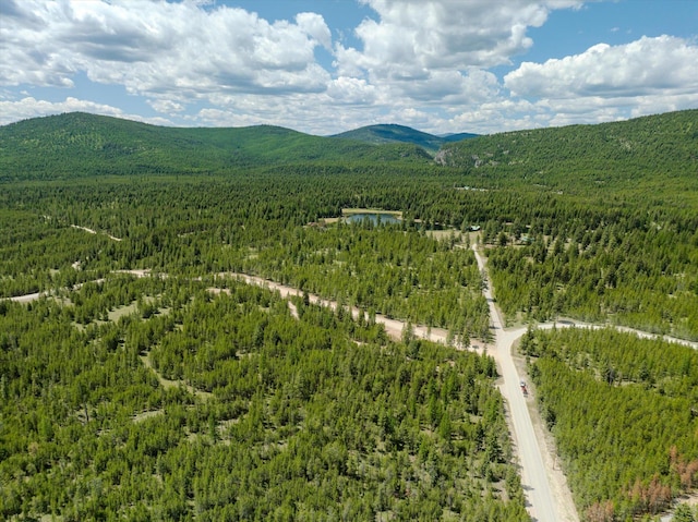 148 Badger Hollow Trl, Marion, MT 59925