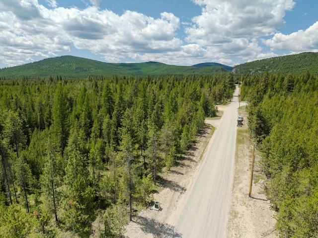 148 Badger Hollow Trl, Marion, MT 59925