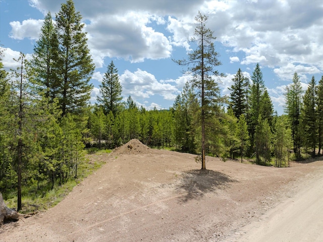 148 Badger Hollow Trl, Marion, MT 59925