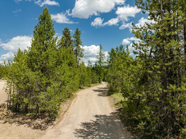 148 Badger Hollow Trl, Marion, MT 59925