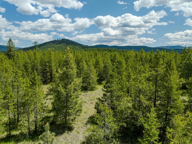148 Badger Hollow Trl, Marion, MT 59925