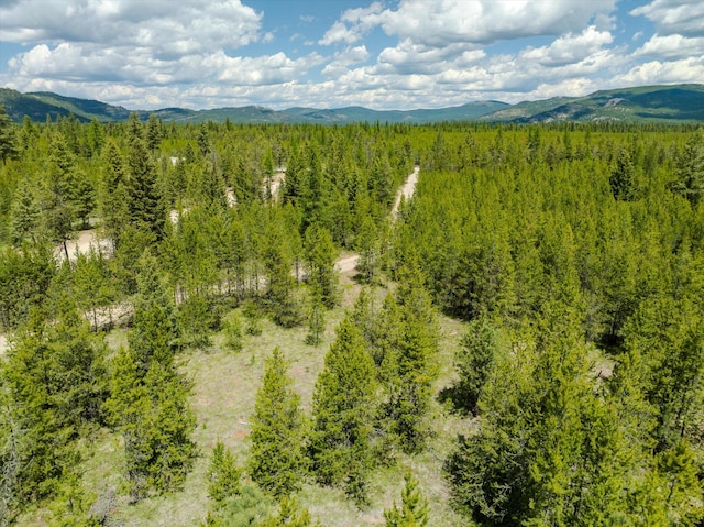 148 Badger Hollow Trl, Marion, MT 59925