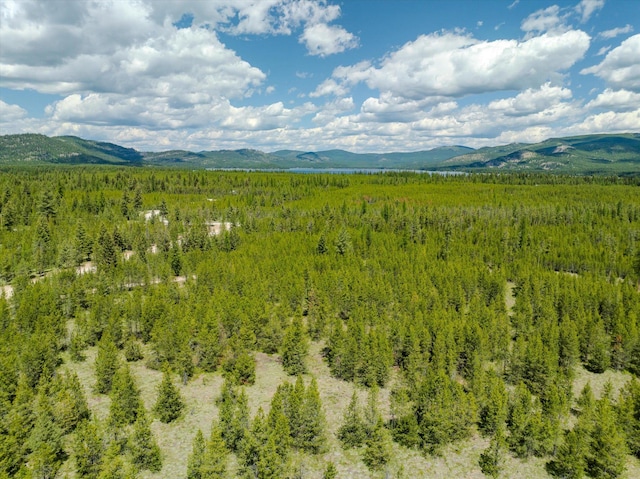 148 Badger Hollow Trl, Marion, MT 59925