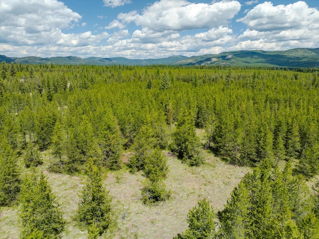 148 Badger Hollow Trl, Marion, MT 59925