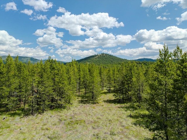 148 Badger Hollow Trl, Marion, MT 59925