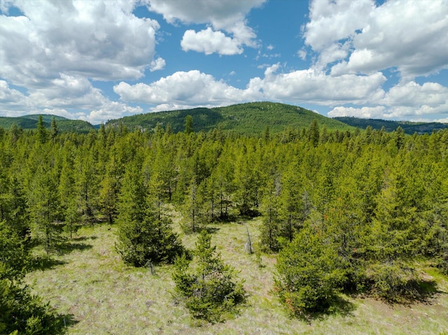 148 Badger Hollow Trl, Marion, MT 59925