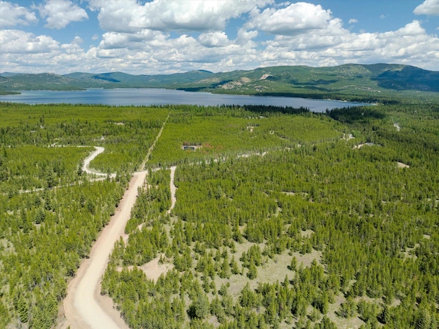 148 Badger Hollow Trl, Marion, MT 59925