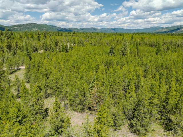 148 Badger Hollow Trl, Marion, MT 59925