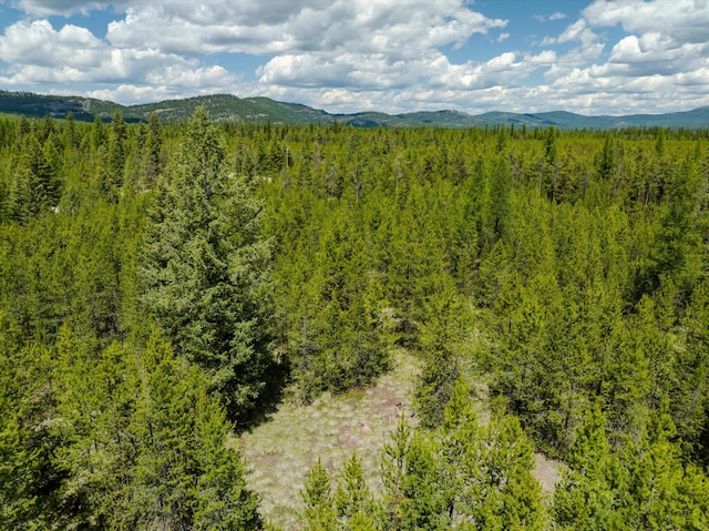 148 Badger Hollow Trl, Marion, MT 59925