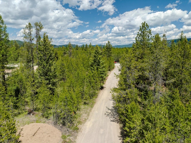 148 Badger Hollow Trl, Marion, MT 59925