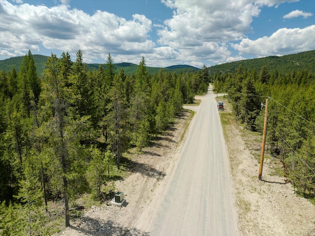 148 Badger Hollow Trl, Marion, MT 59925