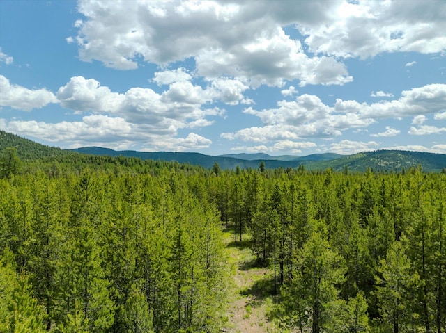 148 Badger Hollow Trl, Marion, MT 59925