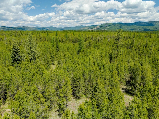 148 Badger Hollow Trl, Marion, MT 59925