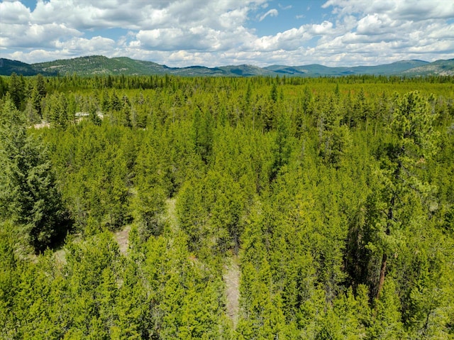 148 Badger Hollow Trl, Marion, MT 59925