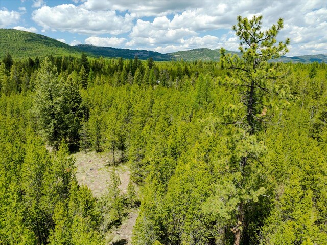 148 Badger Hollow Trl, Marion, MT 59925