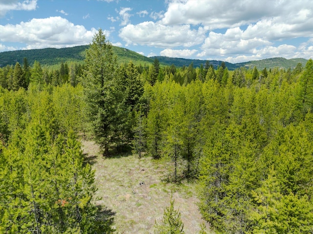 148 Badger Hollow Trl, Marion, MT 59925