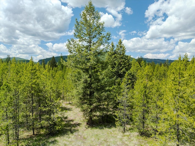 148 Badger Hollow Trl, Marion, MT 59925