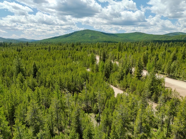 148 Badger Hollow Trl, Marion, MT 59925