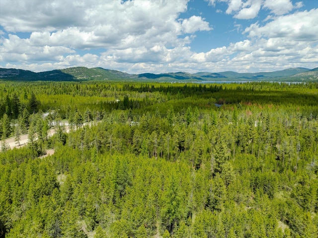 148 Badger Hollow Trl, Marion, MT 59925