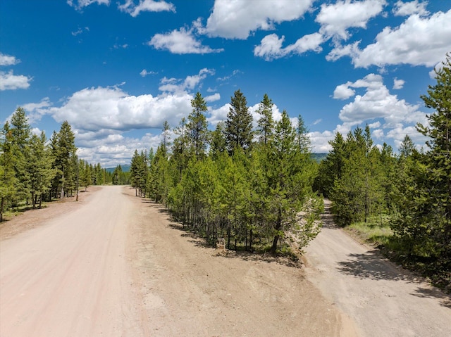 148 Badger Hollow Trl, Marion, MT 59925