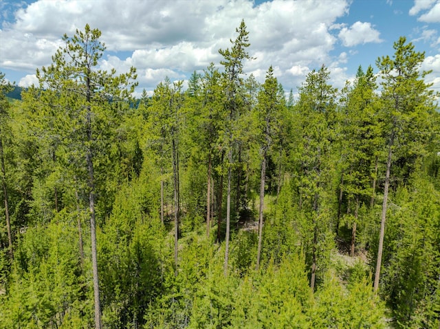 148 Badger Hollow Trl, Marion, MT 59925