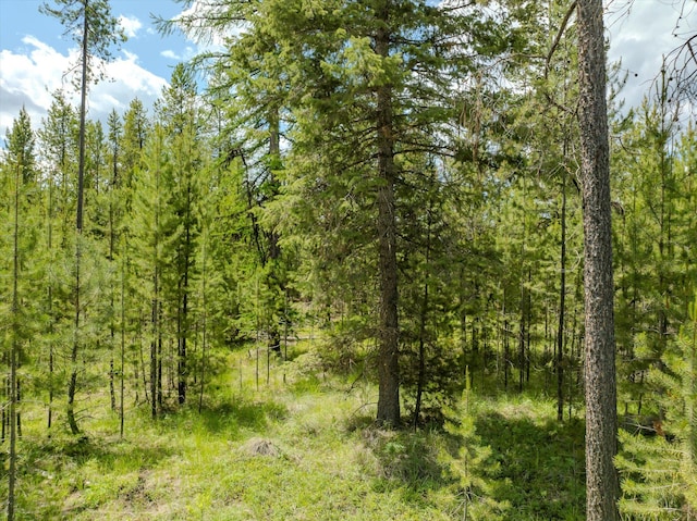 148 Badger Hollow Trl, Marion, MT 59925