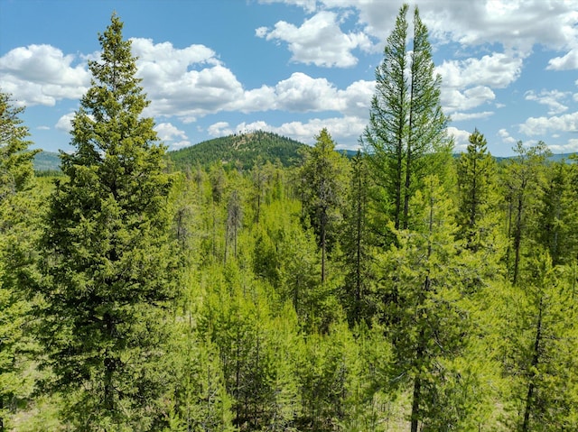 148 Badger Hollow Trl, Marion, MT 59925