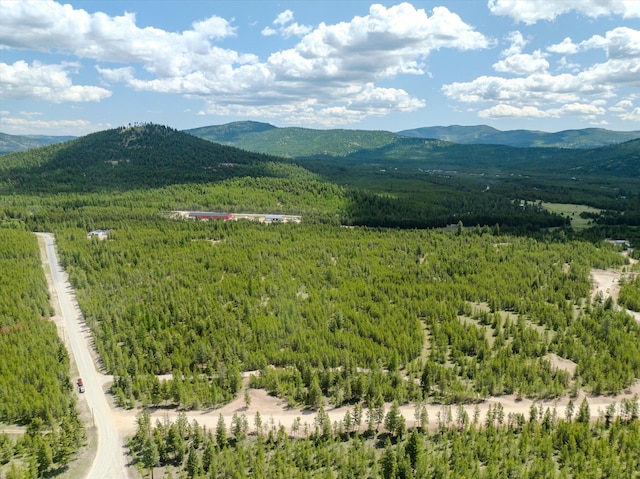 148 Badger Hollow Trl, Marion, MT 59925