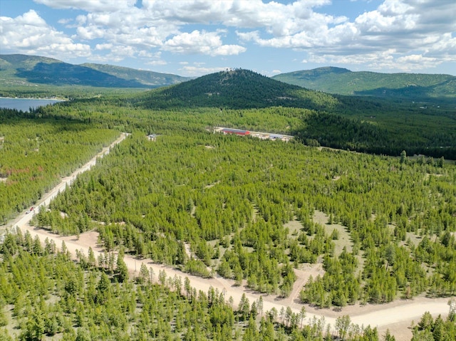 148 Badger Hollow Trl, Marion, MT 59925