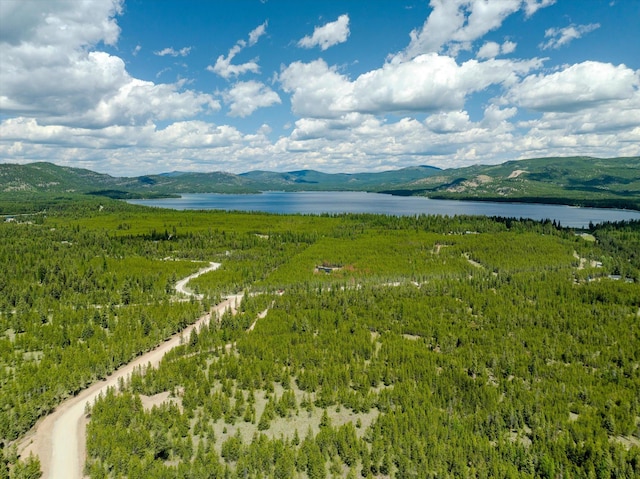 148 Badger Hollow Trl, Marion, MT 59925