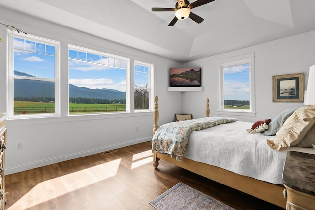 451 Creston Hatchery Rd, Kalispell, MT 59901 - bedroom with a mountain view, wood finished floors, a tray ceiling, and a ceiling fan