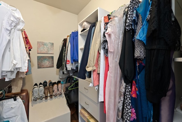 451 Creston Hatchery Rd, Kalispell, MT 59901 - view of walk in closet